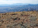 2023-11-29 :3: 7Mile Mountains HP :: DixieFlyer