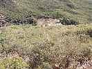 2023-11-26 :2: Saddle Mountain 6535 - Mazatzals :: DixieFlyer