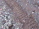 photo thumbnail #15