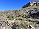 2023-11-25 :1: Squaw Canyon and Black Mtn (3707) :: ScottHika