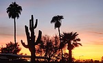photo thumbnail #5