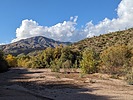 photo thumbnail #1