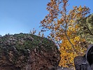 2023-12-02 :2: Reavis Falls Hike :: pseudalpine