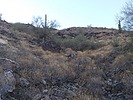 photo thumbnail #3