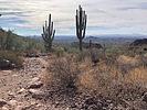 photo thumbnail #7