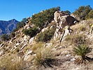 photo thumbnail #7