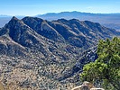 2023-12-03 :3: Forest Hill - Little Rincon Mtns HP :: DixieFlyer