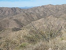 photo thumbnail #9