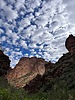 photo thumbnail #14