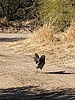 photo thumbnail #2