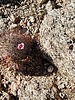 photo thumbnail #12