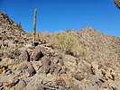 photo thumbnail #13