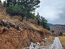 photo thumbnail #3