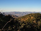 photo thumbnail #5