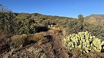 photo thumbnail #2