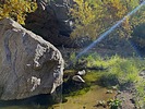 photo thumbnail #13