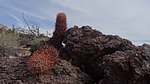 photo thumbnail #3