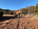 photo thumbnail #3