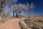 photo thumbnail #6