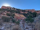 photo thumbnail #4