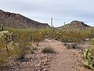 photo thumbnail #10