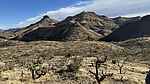 photo thumbnail #6