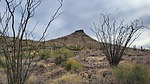 2023-12-12 :1: Browns Ranch :: The_Eagle