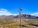 photo thumbnail #7