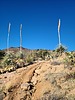 photo thumbnail #14