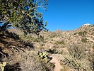photo thumbnail #13