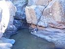 photo thumbnail #2