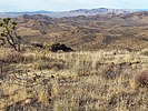 photo thumbnail #6