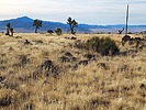 2023-12-11 :3: Table Mountain Plateau :: DixieFlyer