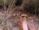 photo thumbnail #4