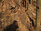 photo thumbnail #10