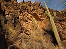 photo thumbnail #14
