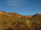 photo thumbnail #6