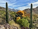 photo thumbnail #10