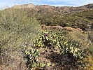 2023-12-16 :1: Lime Creek Cabin - Tonto NF :: John10s