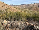 photo thumbnail #10