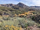 2023-12-16 :1: Lime Creek Cabin - Tonto NF :: John10s