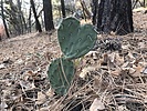 photo thumbnail #14