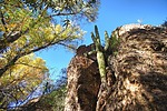 photo thumbnail #6
