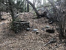 photo thumbnail #9