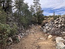photo thumbnail #10
