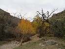 photo thumbnail #1