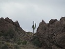 photo thumbnail #15