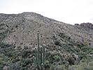 photo thumbnail #13