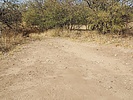 photo thumbnail #1