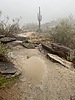 photo thumbnail #6